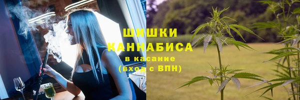 Альфа ПВП Лабытнанги