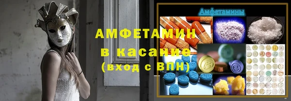 прущие грибы Лихославль