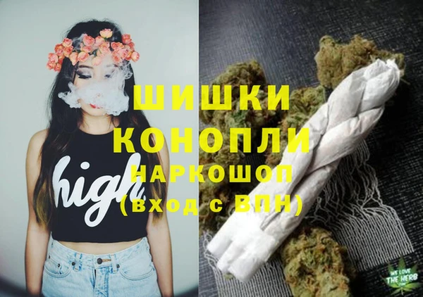 тгк Лиски