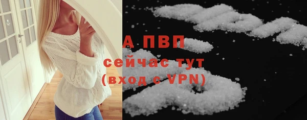 прущие грибы Лихославль