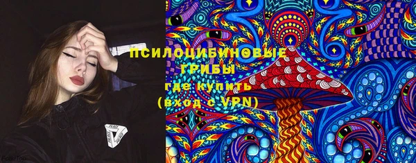 тгк Лиски