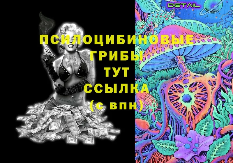 Галлюциногенные грибы Psilocybe  Мураши 