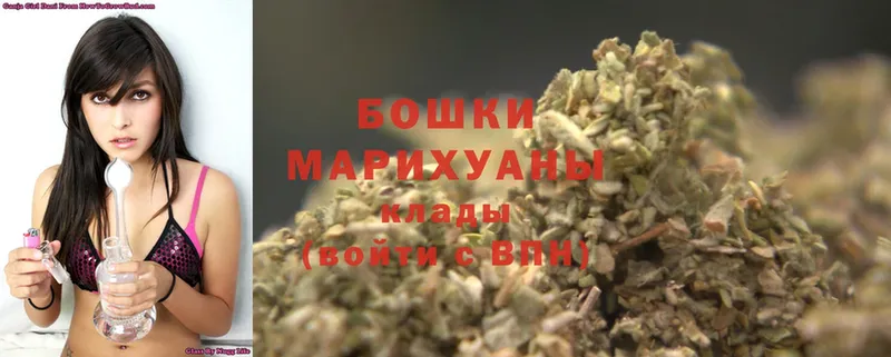 дарк нет официальный сайт  Мураши  Бошки марихуана Amnesia 